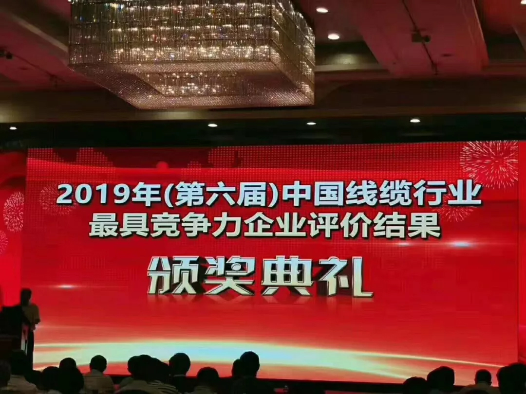 2019中国线缆行业100强企业.jpg